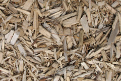 biomass boilers Skirethorns